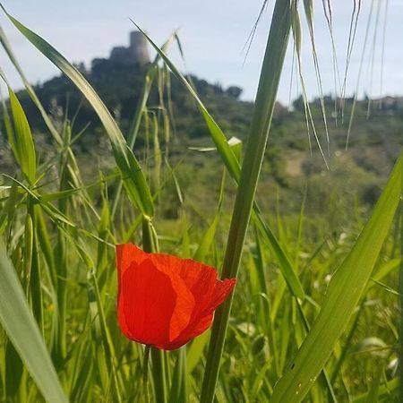 La Casina Di Nonna Giulia Apartment Castiglione dʼOrcia Exterior foto