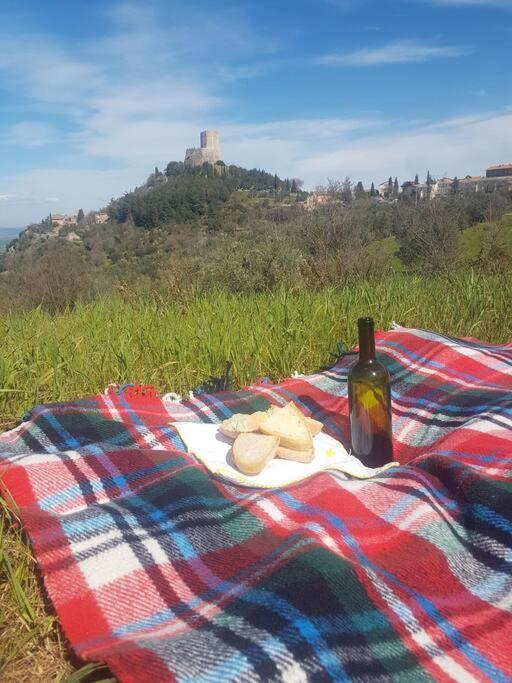 La Casina Di Nonna Giulia Apartment Castiglione dʼOrcia Exterior foto