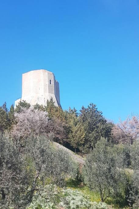 La Casina Di Nonna Giulia Apartment Castiglione dʼOrcia Exterior foto