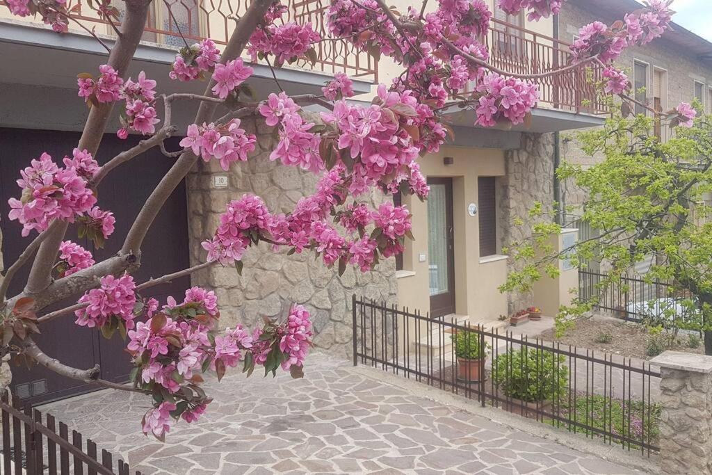La Casina Di Nonna Giulia Apartment Castiglione dʼOrcia Exterior foto